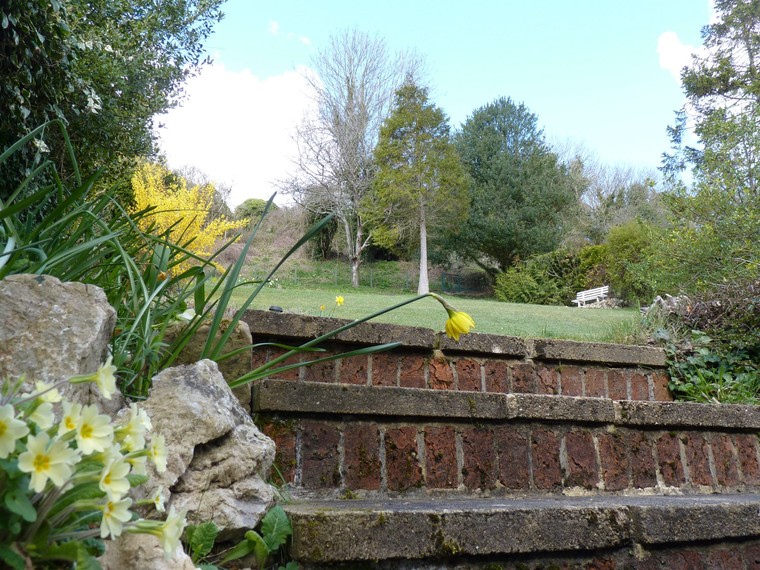 Rear and front gardens with this East Dean holiday cottage