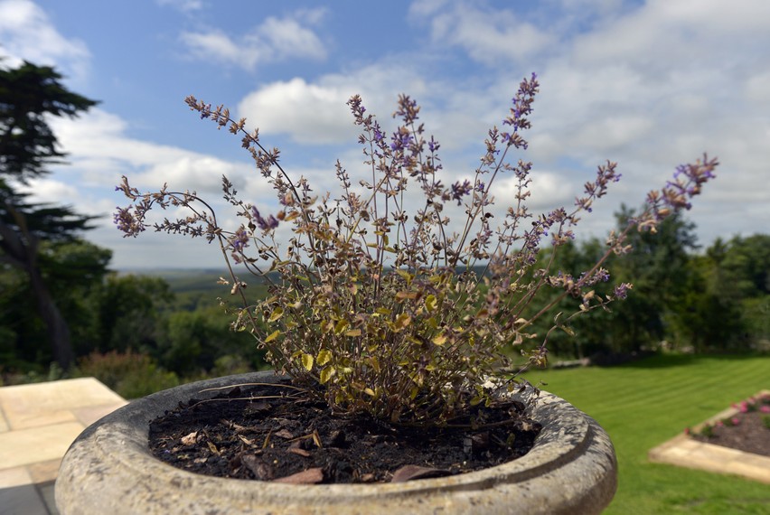 South Downs Cottages - luxury holiday cottages ideal for cycling holidays