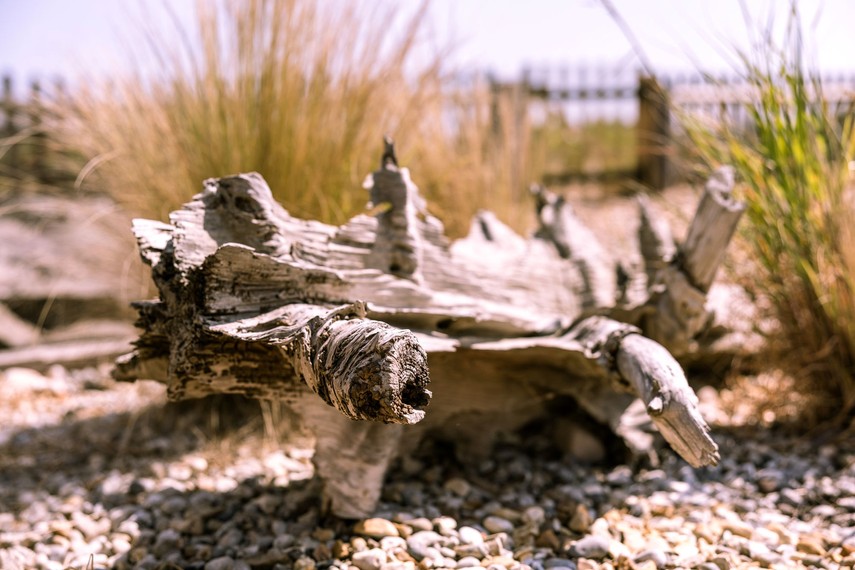 Eastbourne holiday cottage on the beach