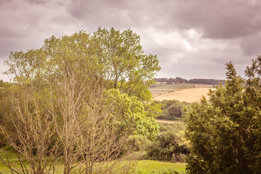 Views from balcony in South Downs accommodation