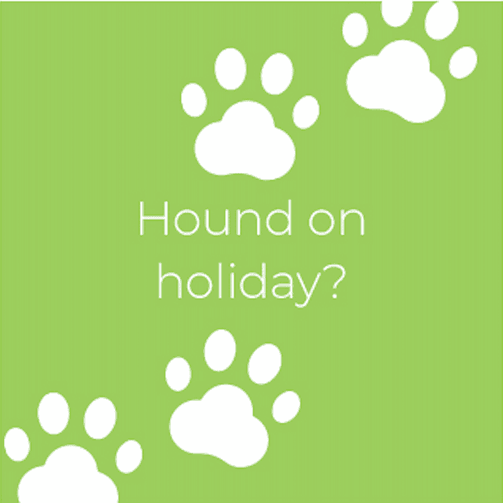 Dog friendly cottages in Sussex Eastbourne near beach, pier and Downs