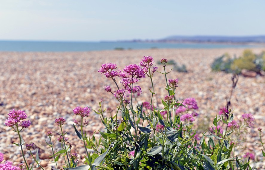 Pevensey Bay beach retreat