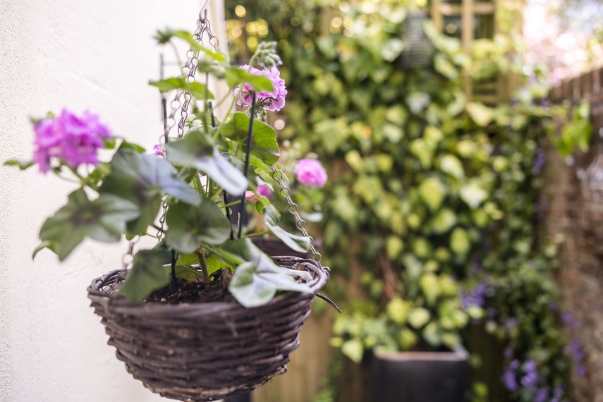 Eastbourne holiday homes - garden flat