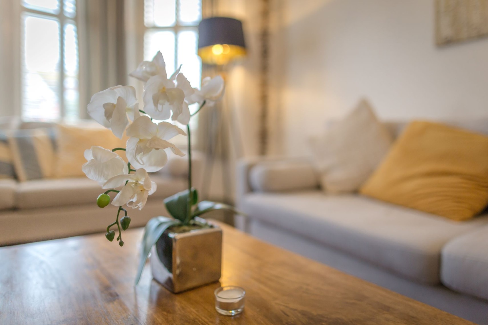 Eastbourne apartment for holiday rentals in Meads Eastbourne with garden