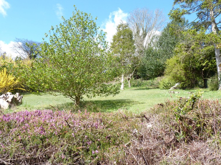 Garden of this South Downs Way accommodation