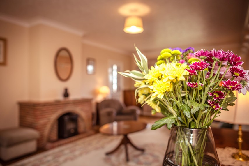 Relax in South Downs accommodation