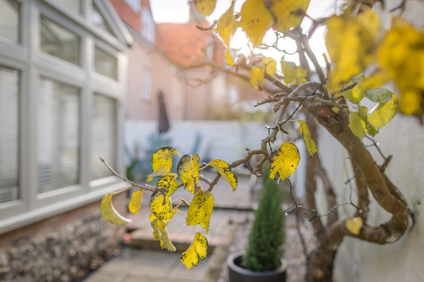 eastbourne apartment garden