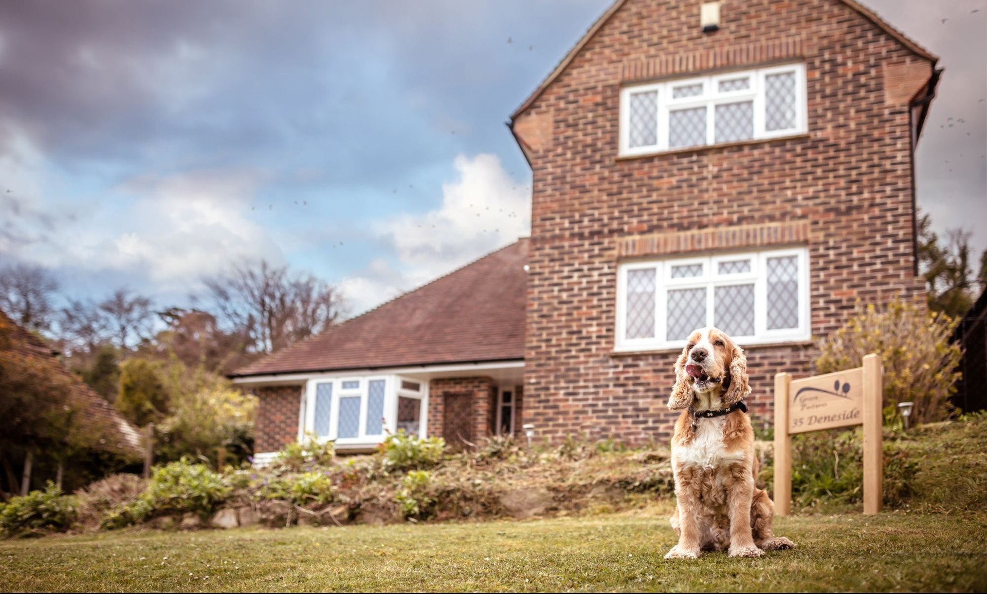 Dog friendly South Downs Way accommodation