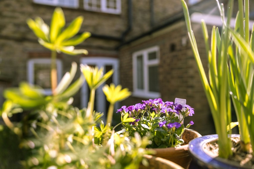 Eastbourne holiday home with garden