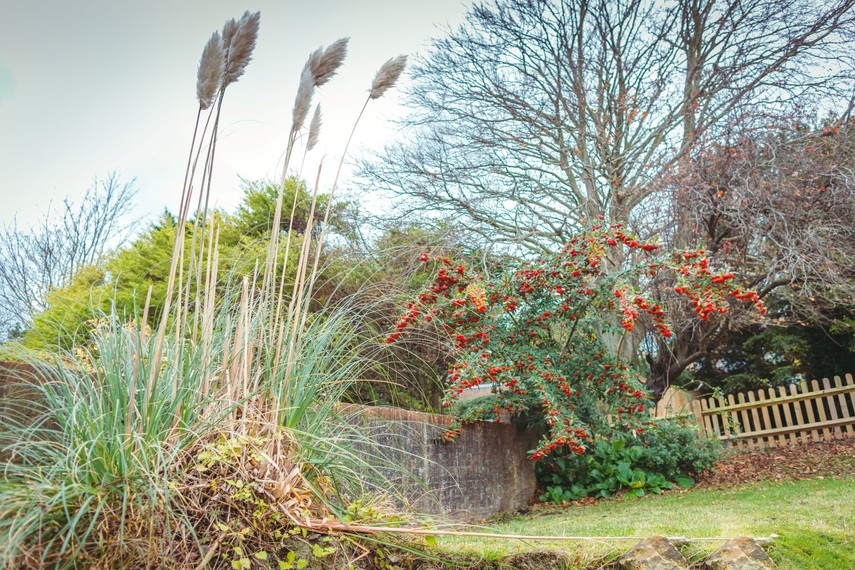 Private garden of Eastbourne self catering accommodation