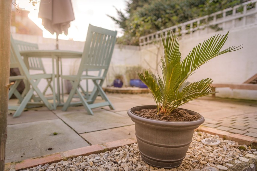 eastbourne apartment garden patio