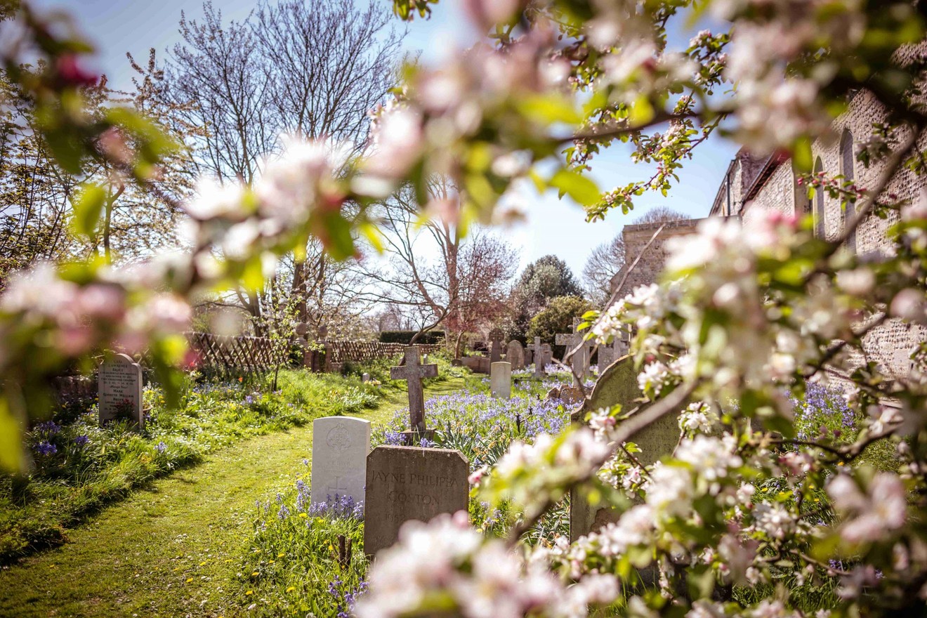 Holiday Lettings Pevensey Bay holiday cottages and holiday homes