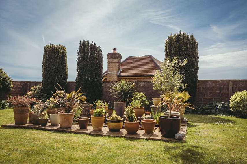 Sussex holiday cottage garden